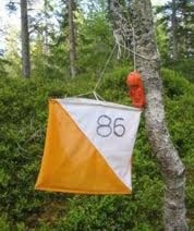 O-Løp Glåmen